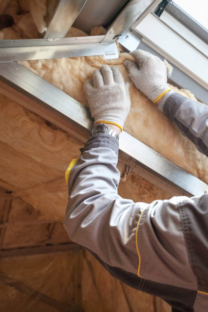 Best Insulation Maintenance and Repair in Swartz Creek, MI
